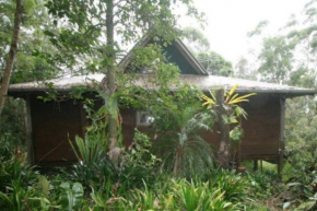 “Jinwhi”, Beechmont